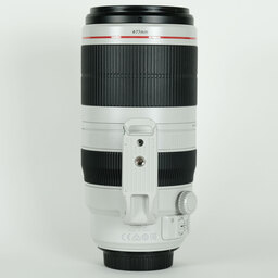 Canon EF100-400mm F4.5-5.6L IS II USM