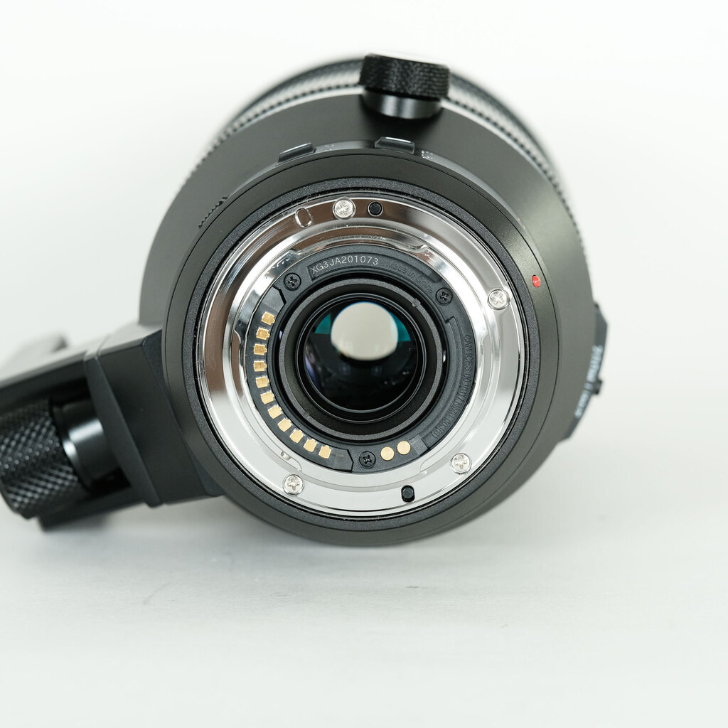 Panasonic LEICA DG VARIO-ELMAR 100-400mm / F4.0-6.3 II ASPH. / POWER O.I.S.