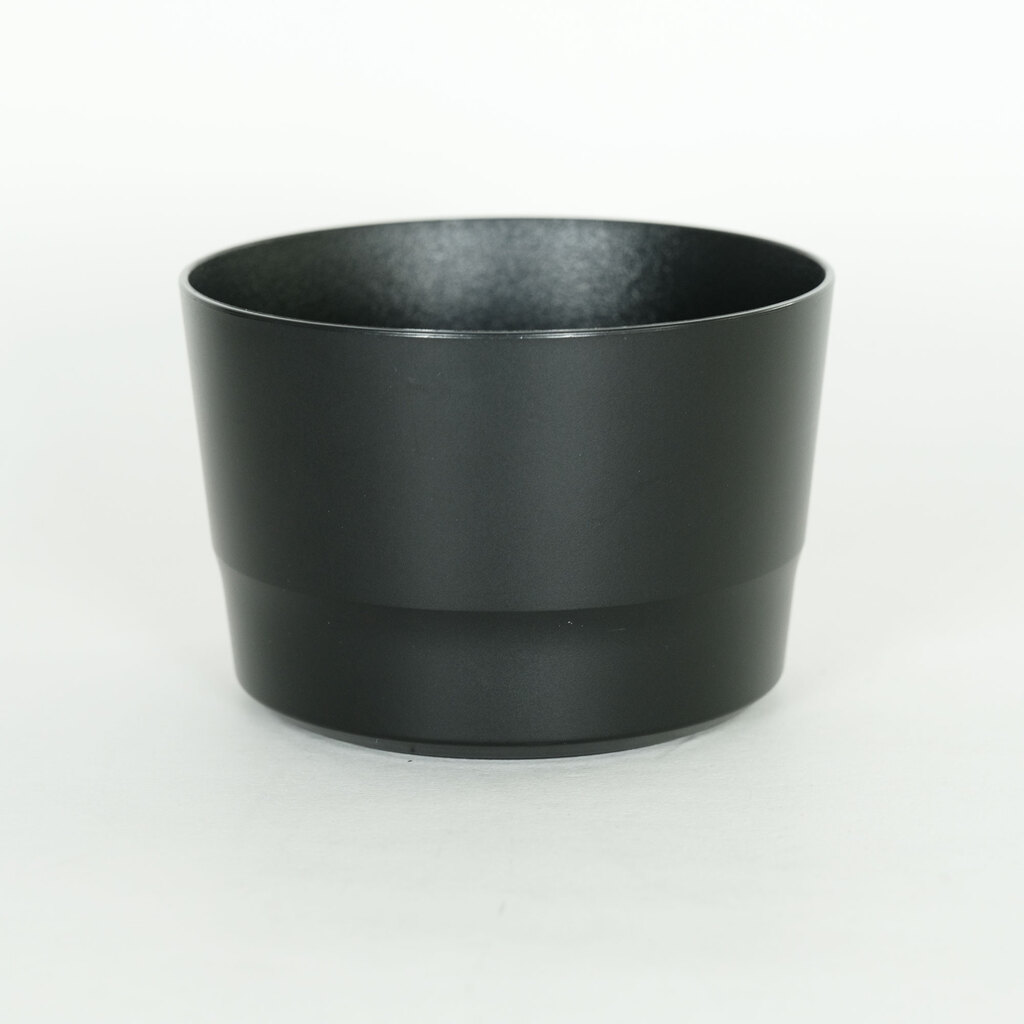 Canon EF-S55-250mm F4-5.6 IS STM