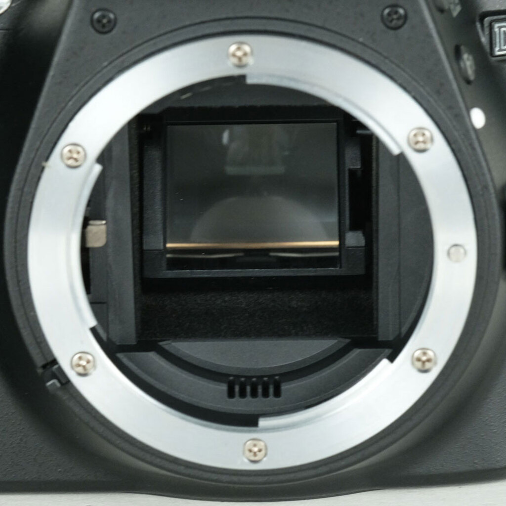 Nikon D3300