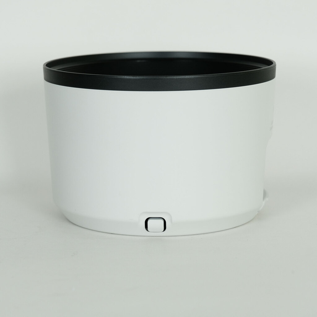 Canon RF100-500mm F4.5-7.1L IS USM