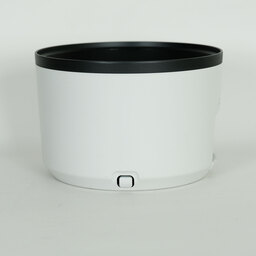 Canon RF100-500mm F4.5-7.1L IS USM