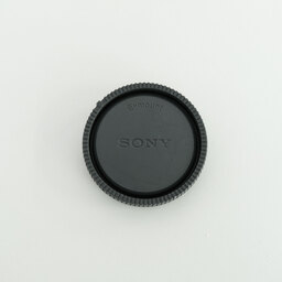SONY FE 12-24mm F4 G SEL1224G
