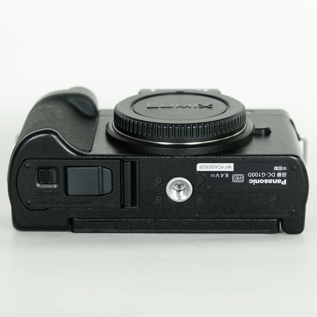 Panasonic LUMIX DC-G100