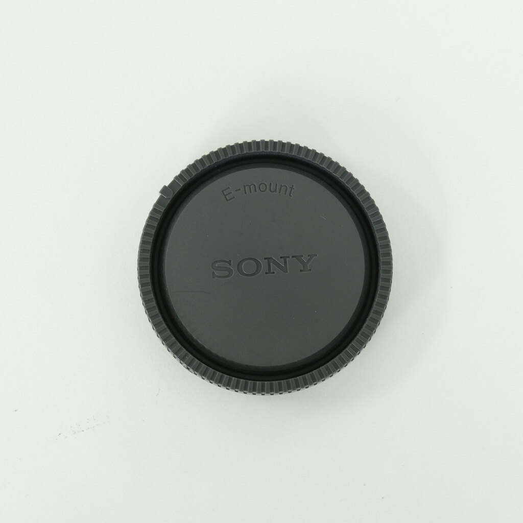 SONY FE 100mm F2.8 Macro GM OSS SEL100M28GM