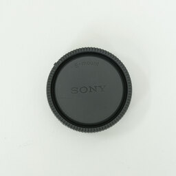 SONY FE 100mm F2.8 Macro GM OSS SEL100M28GM