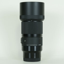 SIGMA 70mm F2.8 DG MACRO｜Art [ソニーE用]