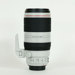 Canon EF100-400mm F4.5-5.6L IS II USM