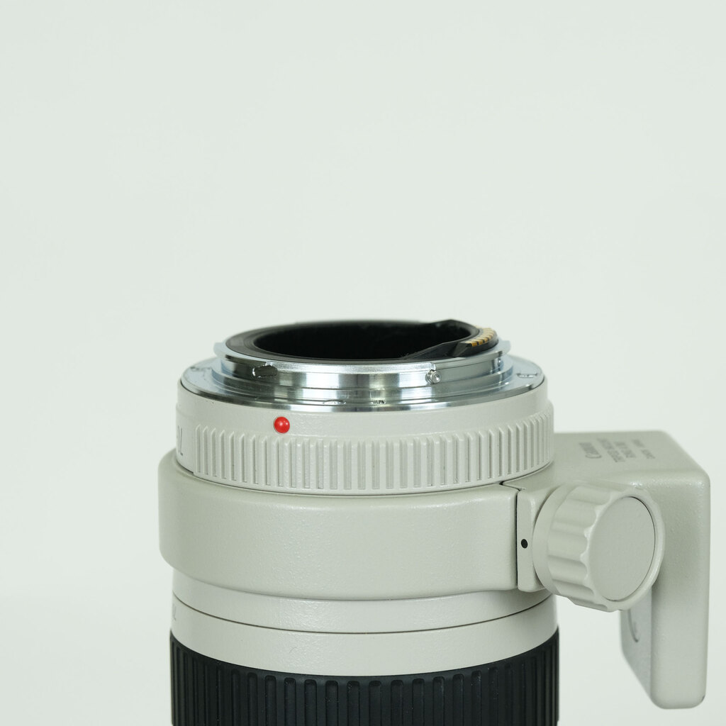 Canon EF70-200mm F4L USM
