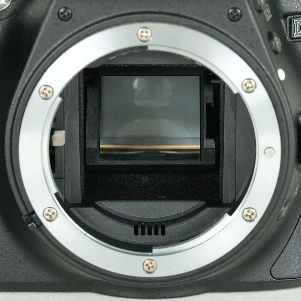 Nikon D5300
