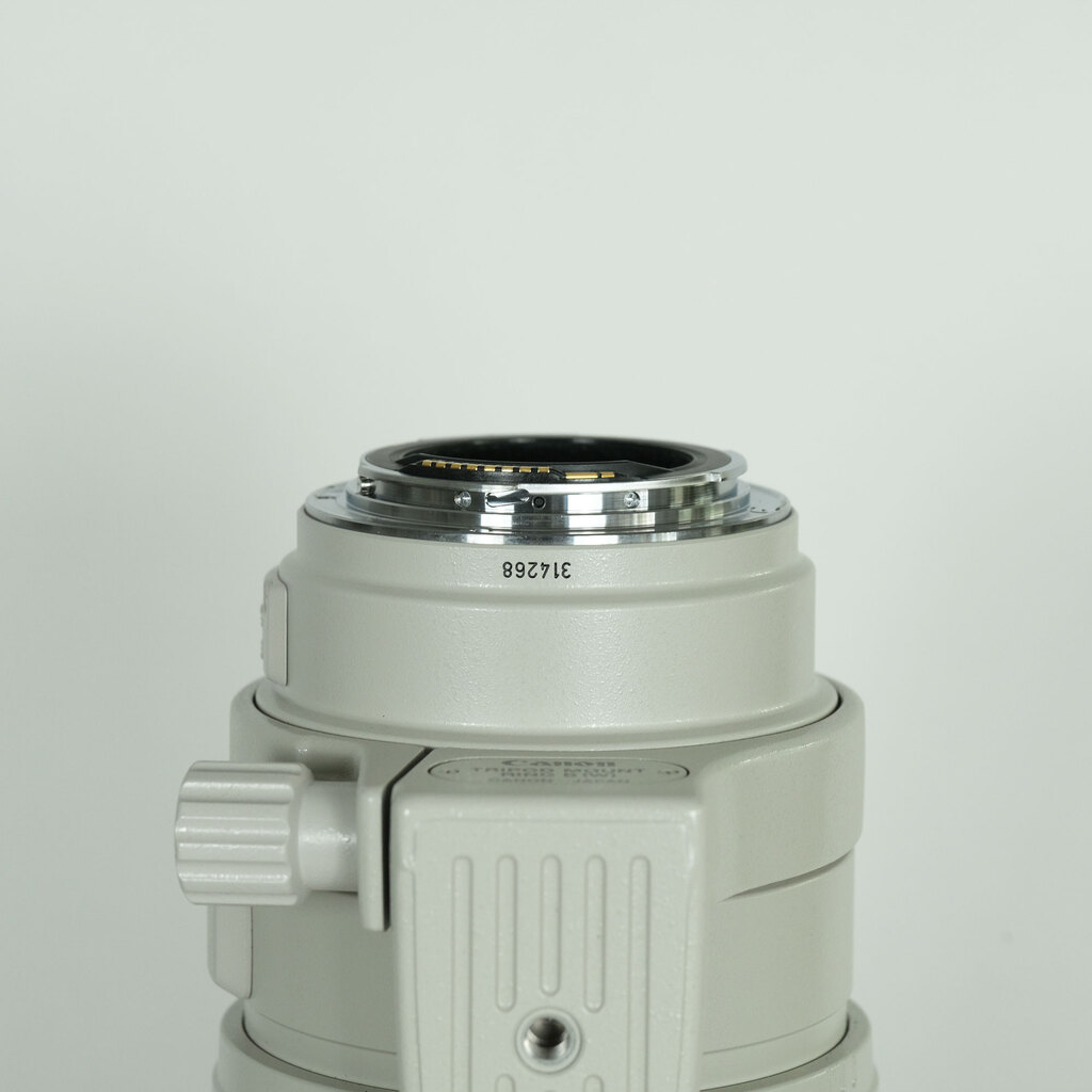 Canon EF100-400mm F4.5-5.6L IS USM