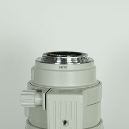 Canon EF100-400mm F4.5-5.6L IS USM