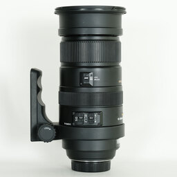 SIGMA APO 50-500mm F4.5-6.3 DG OS HSM [ニコンF用]