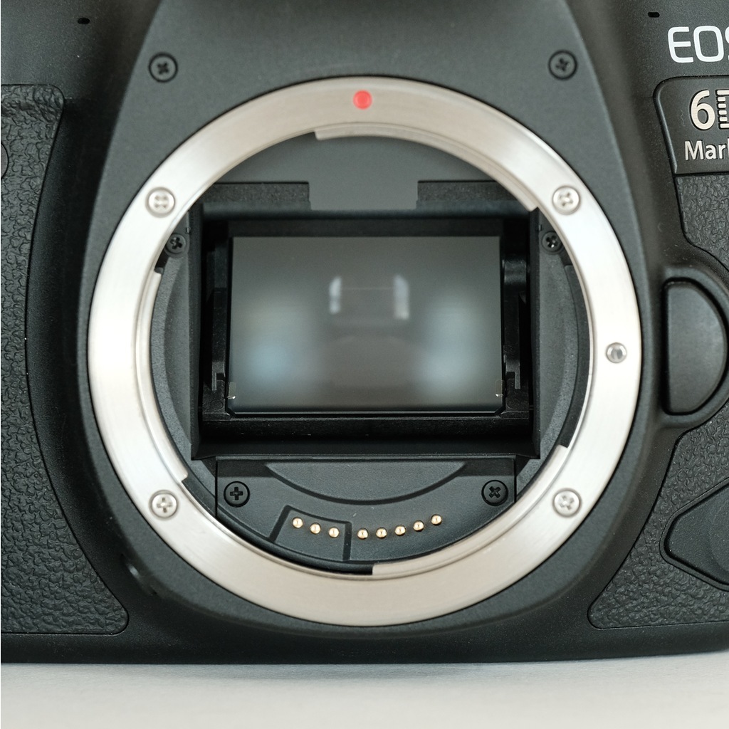 Canon EOS 6D Mark IIの出品 | ONE SCENE（ワンシーン）