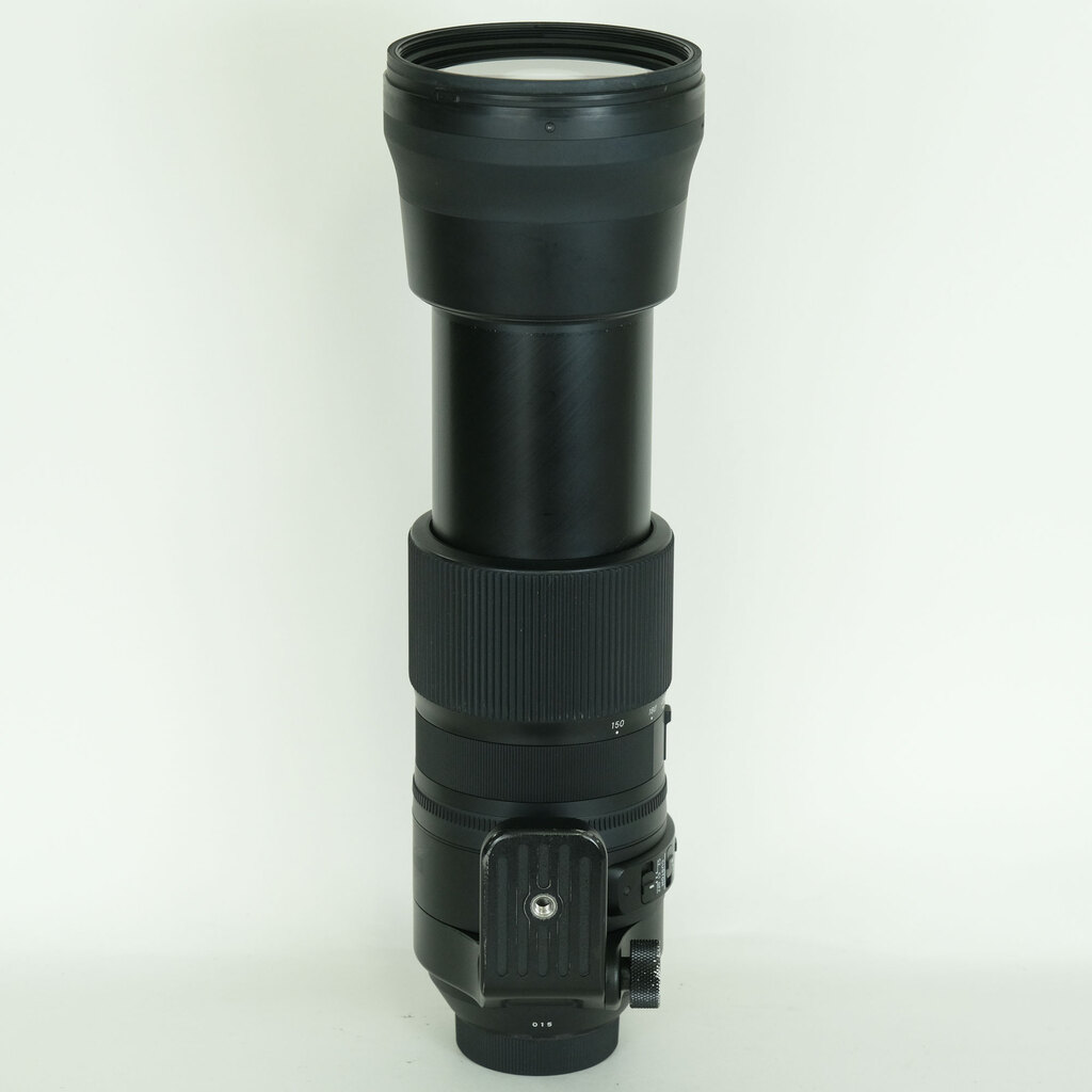 SIGMA 150-600mm F5-6.3 DG OS HSM｜Contemporary [ニコンF用]