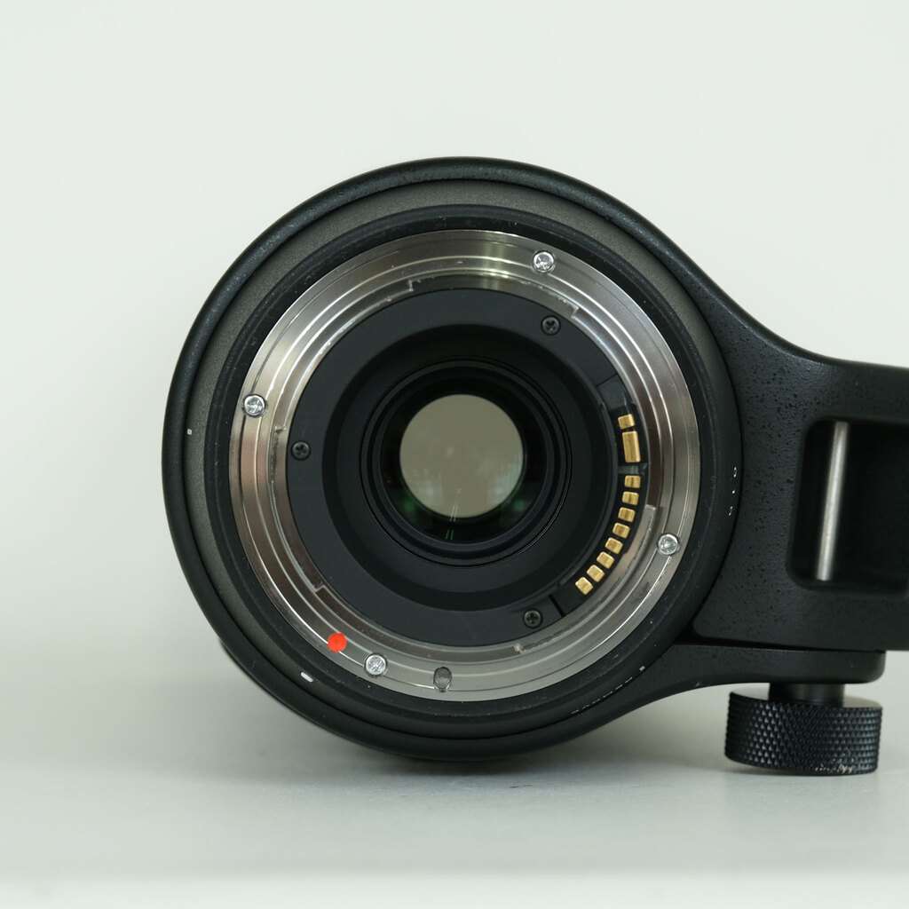 SIGMA 150-600mm F5-6.3 DG OS HSM | Contemporary [キヤノンEF用]