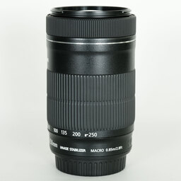 Canon EF-S55-250mm F4-5.6 IS STM