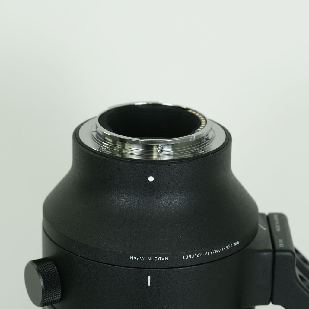 SIGMA 70-200mm F2.8 DG DN OS｜Sports [ソニーE用]