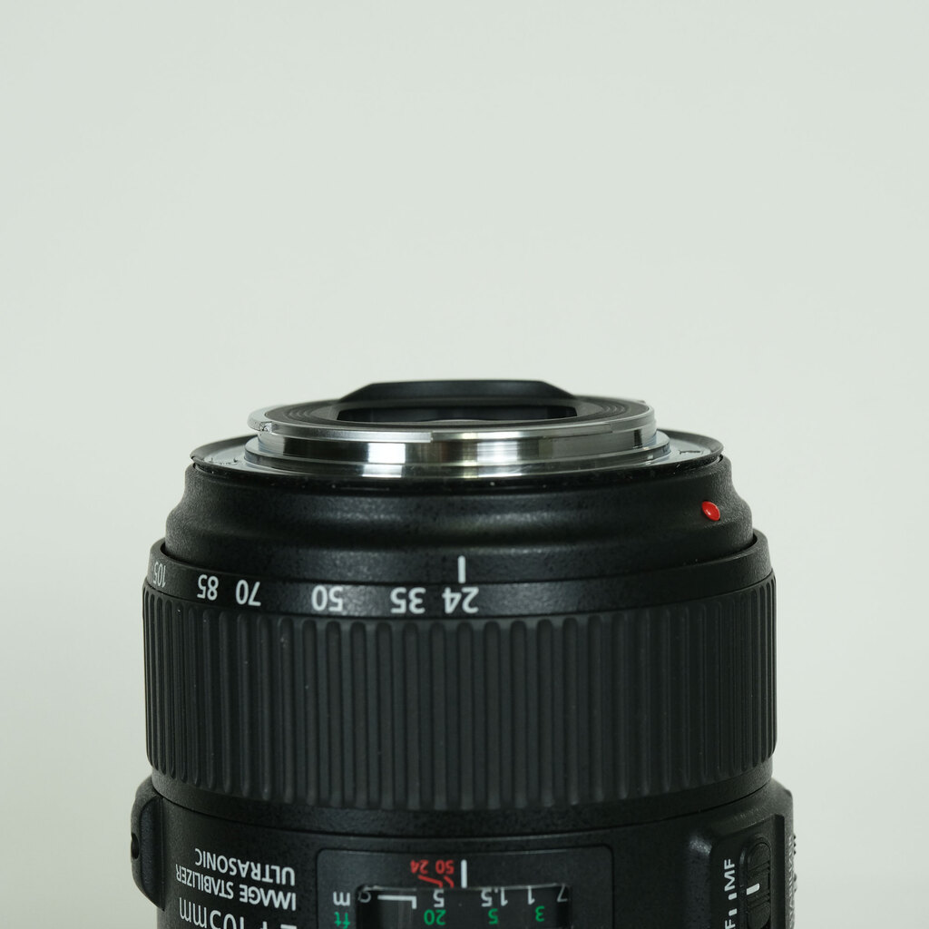 Canon EF24-105mm F4L IS II USM