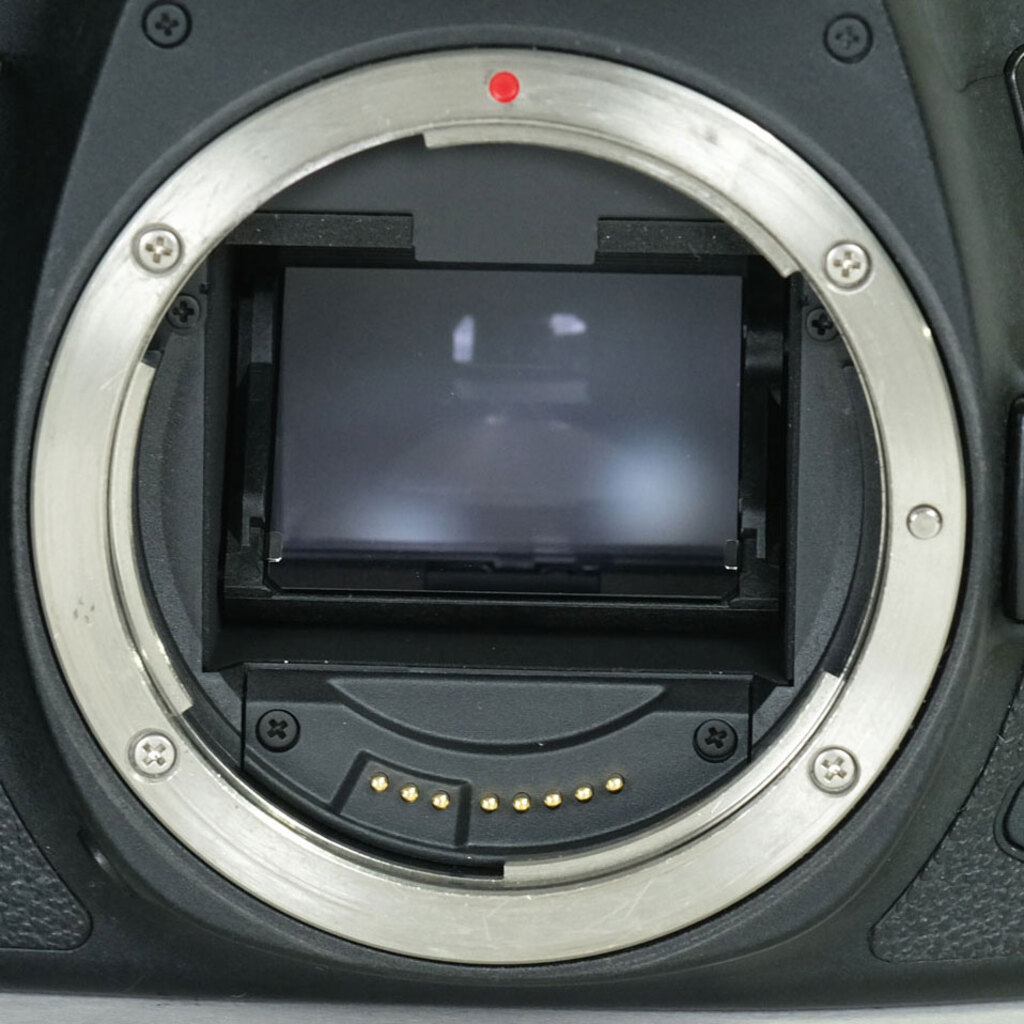 Canon EOS 6D Mark II