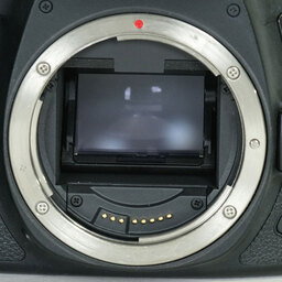 Canon EOS 6D Mark II
