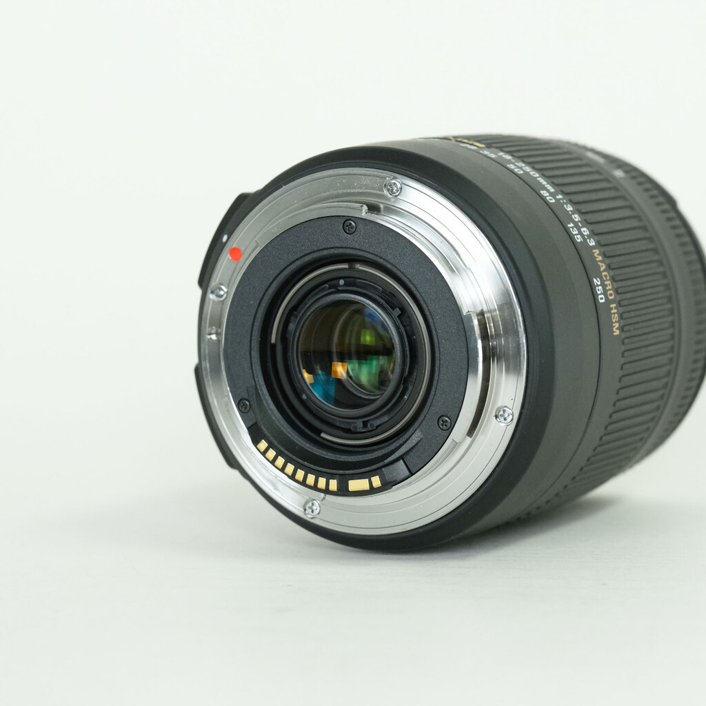 SIGMA 18-250mm F3.5-6.3 DC MACRO OS HSM (キヤノンEF用)