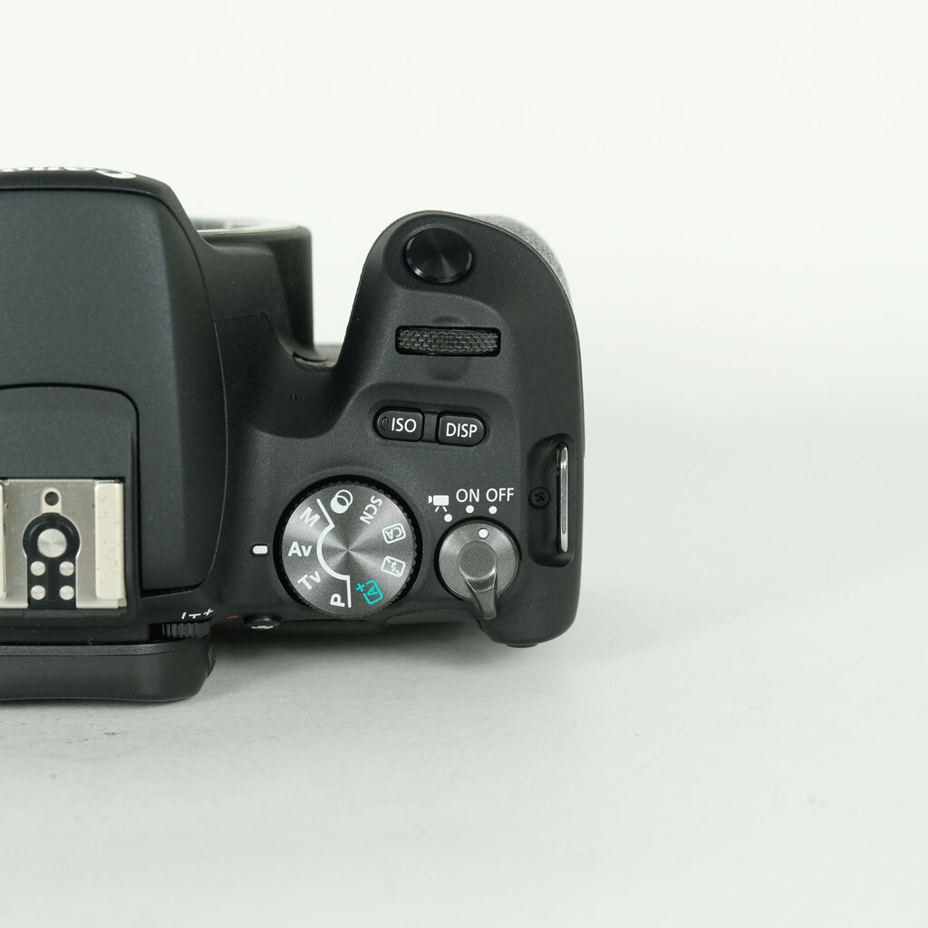 Canon EOS Kiss X9の出品 | ONE SCENE（ワンシーン）