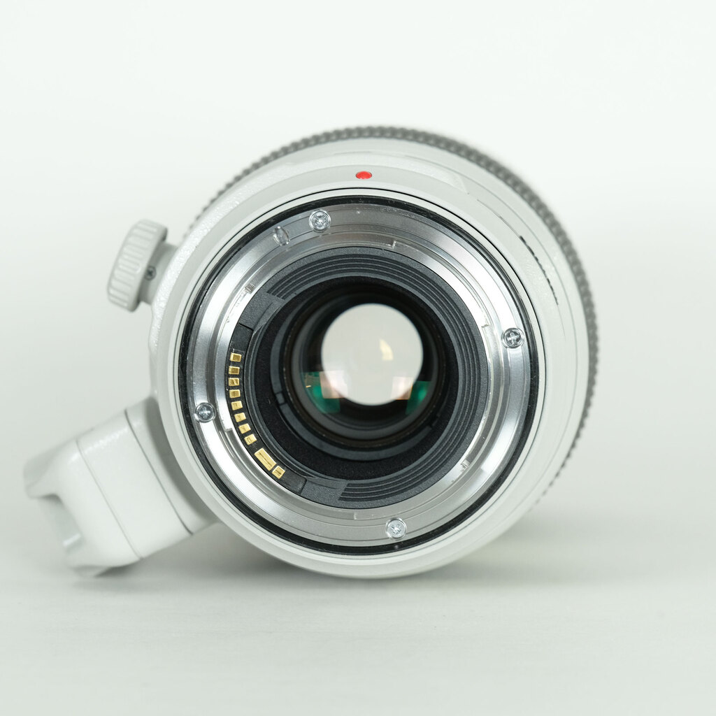 Canon EF100-400mm F4.5-5.6L IS II USM Canon EF100-400mm F4.5-5.6L IS II USM