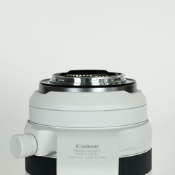 Canon RF70-200mm F2.8 L IS USM