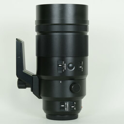 Panasonic LEICA DG ELMARIT 200mm F2.8 POWER O.I.S.（レンズ単体）