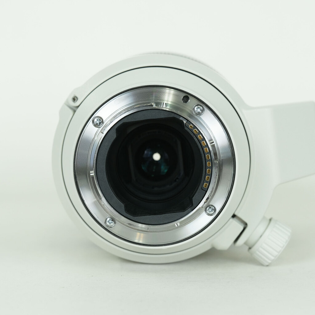 SONY FE70-200mm F4 Macro G OSS II SEL70200G2