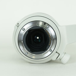 SONY FE70-200mm F4 Macro G OSS II SEL70200G2