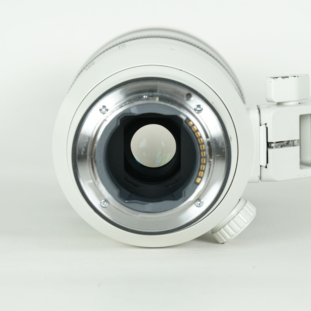 SONY FE 70-200mm F2.8 GM OSS SEL70200GMの出品 | ONE SCENE（ワン