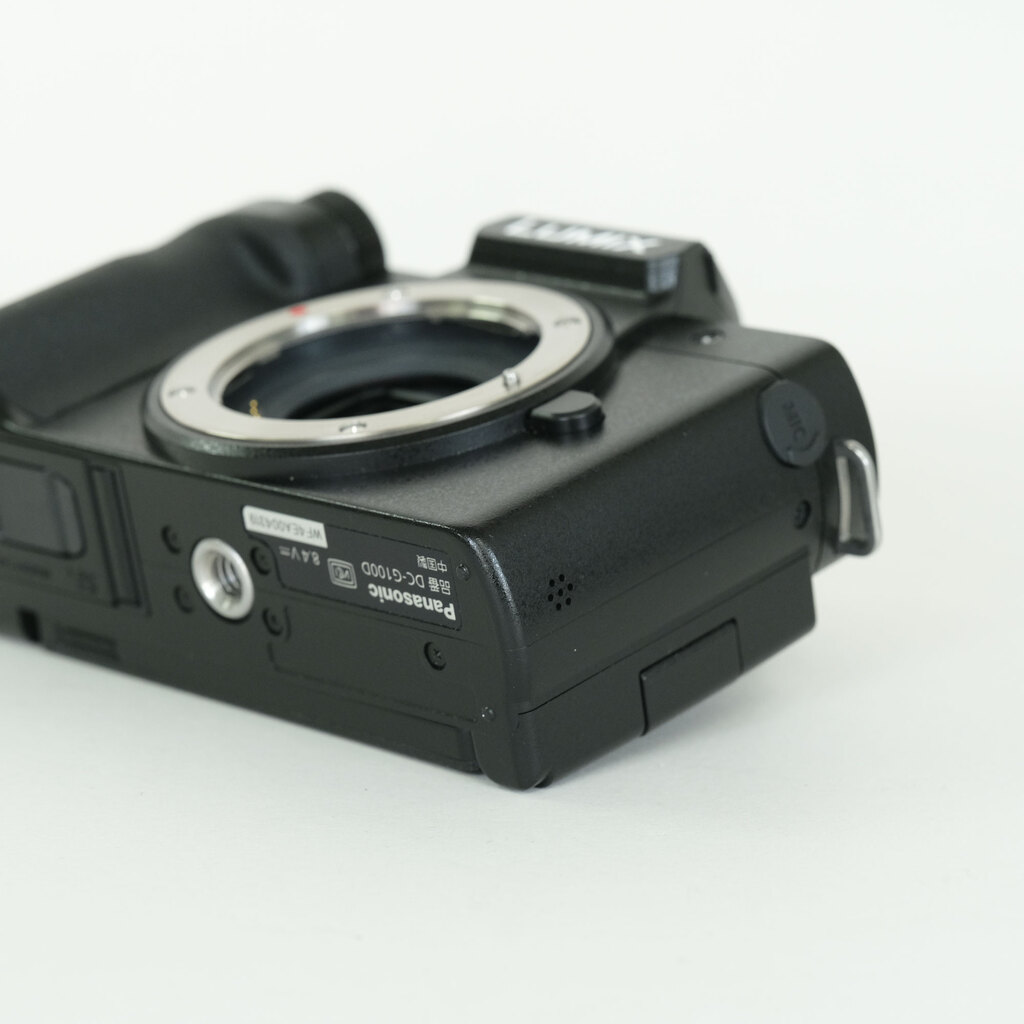 Panasonic LUMIX DC-G100