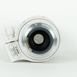 Canon EF100-400mm F4.5-5.6L IS USM