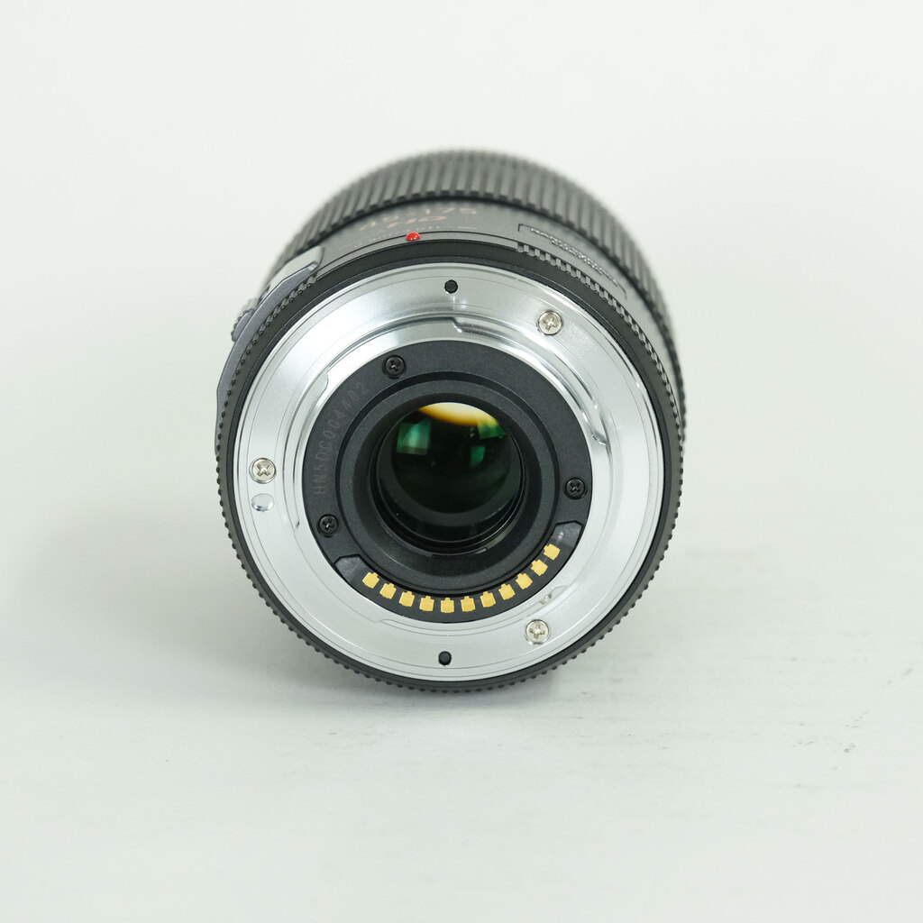 Panasonic LUMIX G X VARIO PZ 45-175mm / F4.0-5.6 ASPH. / POWER O.I.S.