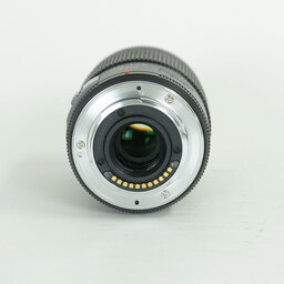 Panasonic LUMIX G X VARIO PZ 45-175mm / F4.0-5.6 ASPH. / POWER O.I.S.