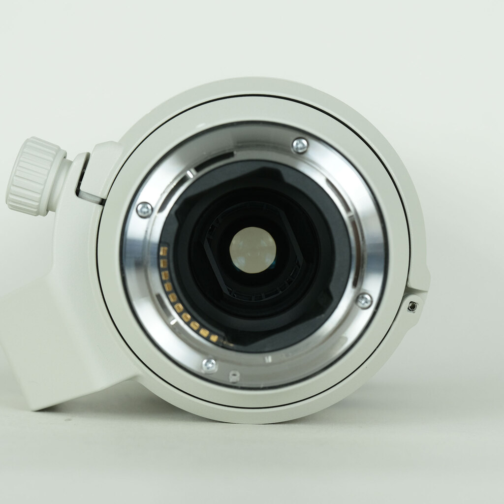 SONY FE70-200mm F4 Macro G OSS II SEL70200G2