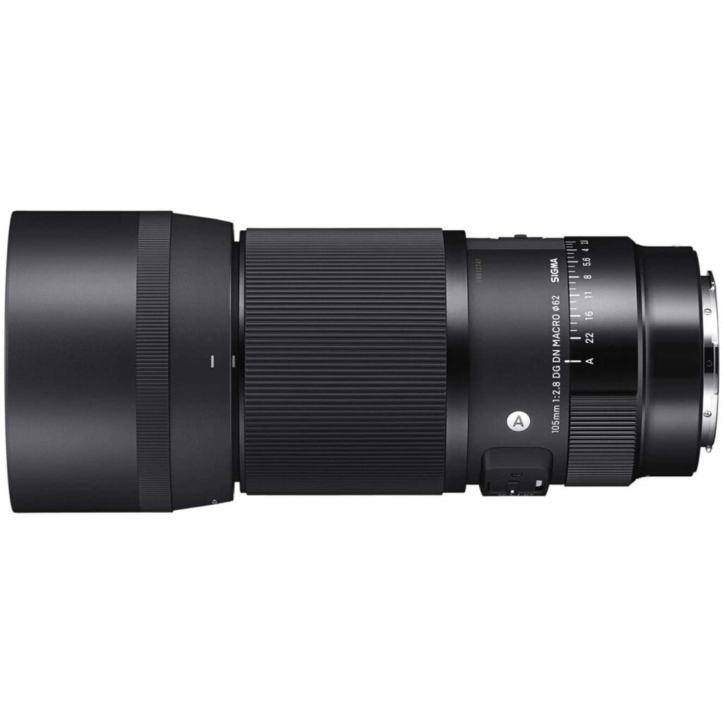 SIGMA 105mm F2.8 DG DN MACRO | Art ［ライカL用］を徹底解説