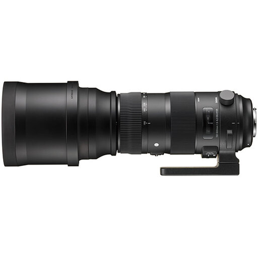SIGMA 150-600mm F5-6.3 DG OS HSM｜Sports [シグマSA用]