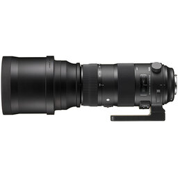 SIGMA 150-600mm F5-6.3 DG OS HSM｜Sports [シグマSA用]
