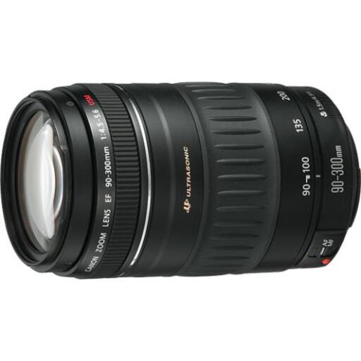 Canon EF90-300mm F4.5-5.6 USM