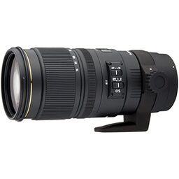 SIGMA 8-16mm F4.5-5.6 DC HSM キヤノンEF用を解説｜8mmの超広角