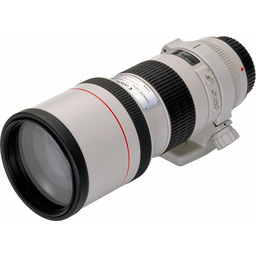 Canon EF300mm F4L USM