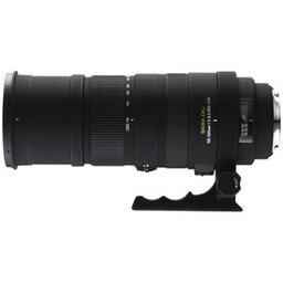 SIGMA APO 150-500mm F5-6.3DG OS HSM（ソニーA用）