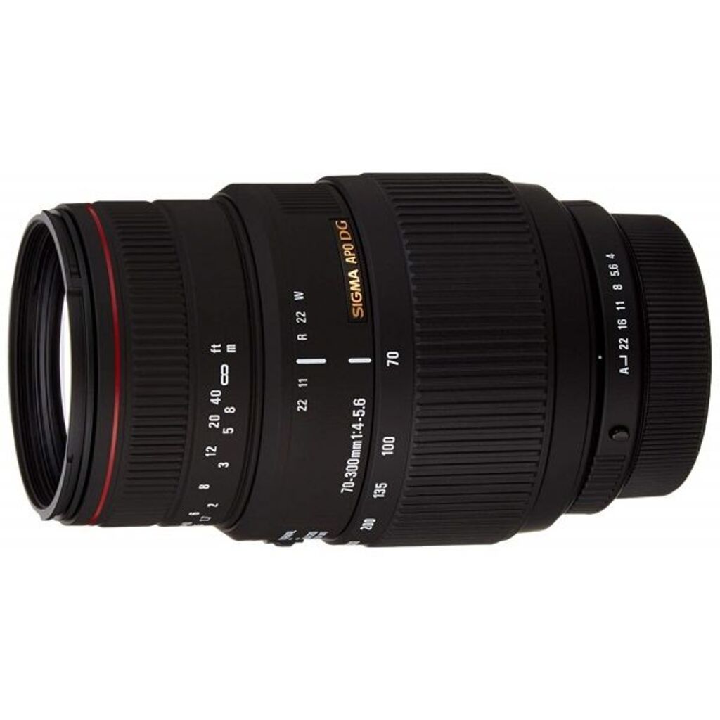 SIGMA APO 70-300mm F4-5.6 DG MACRO ペンタックスK用を解説｜1:2