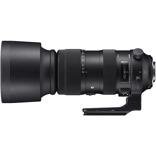 SIGMA 60-600mm F4.5-6.3 DG OS HSM｜Sports [ニコンF用]