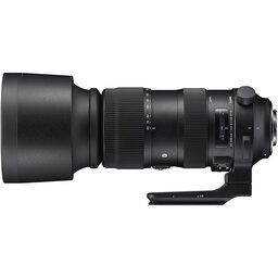 SIGMA 60-600mm F4.5-6.3 DG OS HSM｜Sports [ニコンF用]