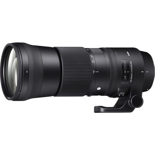 SIGMA 150-600mm F5-6.3 DG OS HSM｜Contemporary [ニコンF用]