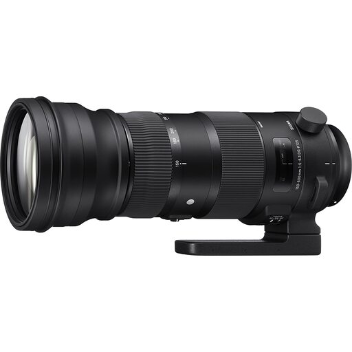 SIGMA 150-600mm F5-6.3 DG OS HSM｜Sports [ニコンF用]